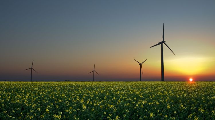 Sol og vind opfylder ikke Danmark energibehov